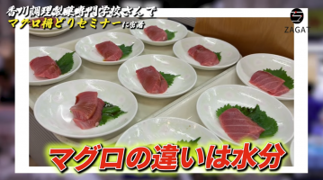 プロ解説！まぐろの柵どり🔪🐠