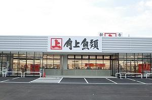 ８月の会社説明会