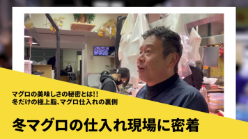 【！！必見！！】マグロの美味しい秘密🤫