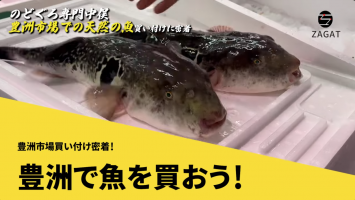 豊洲で高級魚を買おう！