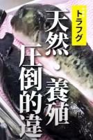 天然と養殖の違いとは・・・