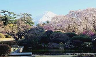富士ビューホテル自慢の3万坪の庭園です！