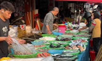 【台湾研修】現地の市場を歩き、食文化の真髄に触れる🐟