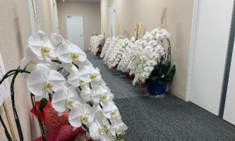 本社を移転しました🏢