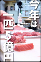 1分で学ぶ大間のマグロ