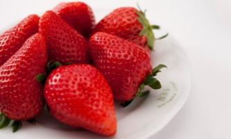 ≪京橋千疋屋≫美味しい果物を知ってもらいたい！