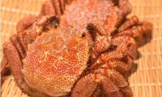 【中目黒店】噴火湾産毛蟹を2種の天ぷらで🦀