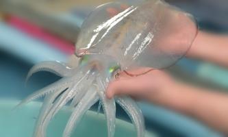 2027年新卒採用を始めます!!