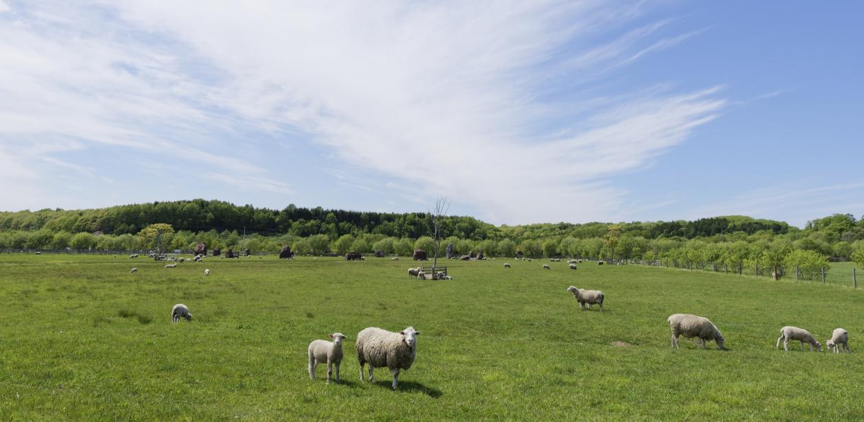 株式会社アレフ画像2