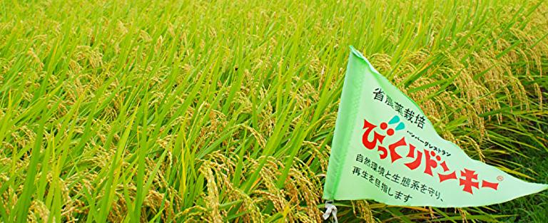 「食」を通じて人を良くする仕事