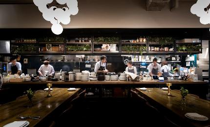 SALT（塩）のひと振りで、世界を変える