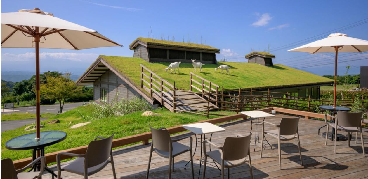 株式会社アトリエ・ド・フロマージュ画像2