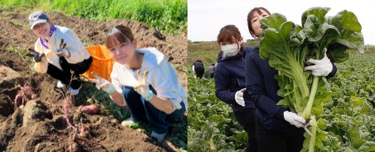 食品添加物に頼らなくても美味しい旬の恵み